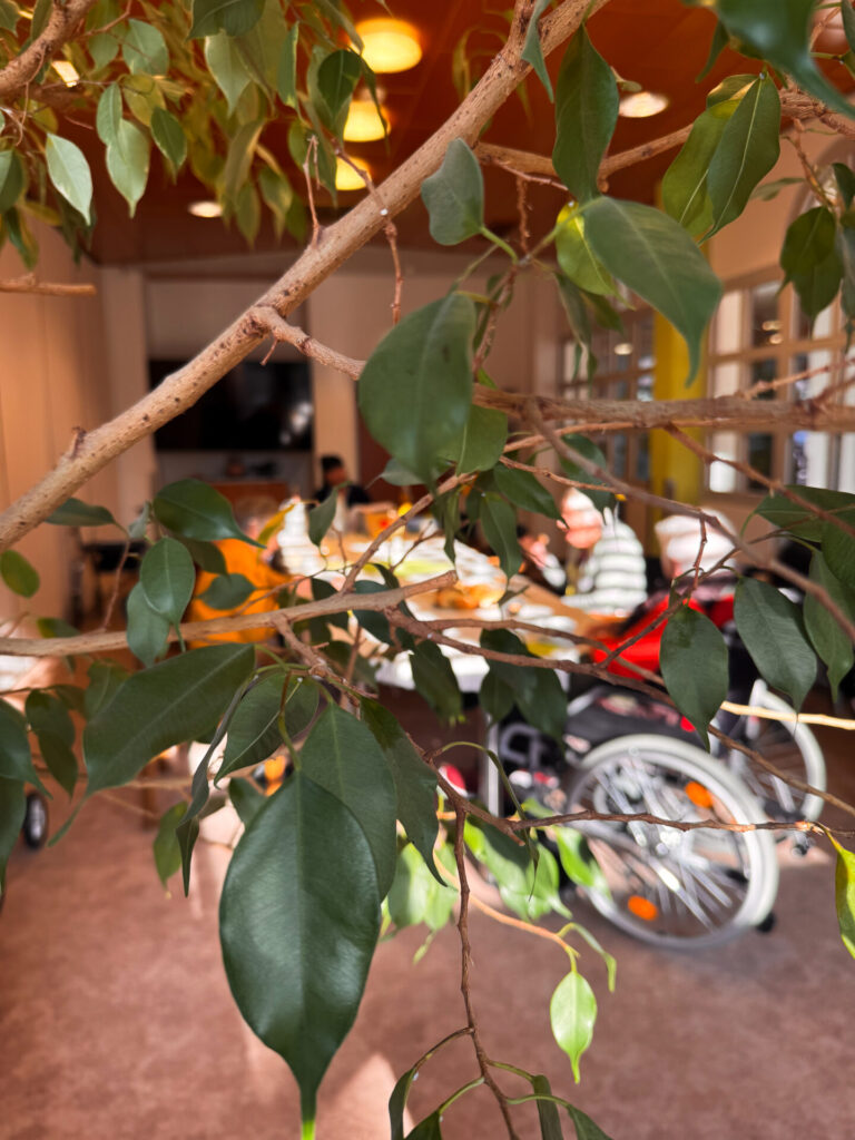 Kaffeekränzchen | DSK Ambulant Eisenberg